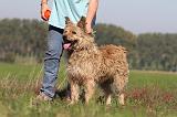 ADULTE ET CHIEN 086